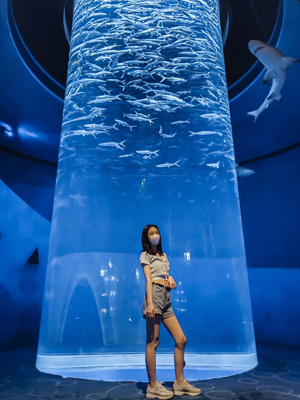 香港海洋公園 必玩設施 海洋奇觀 牛奶魚