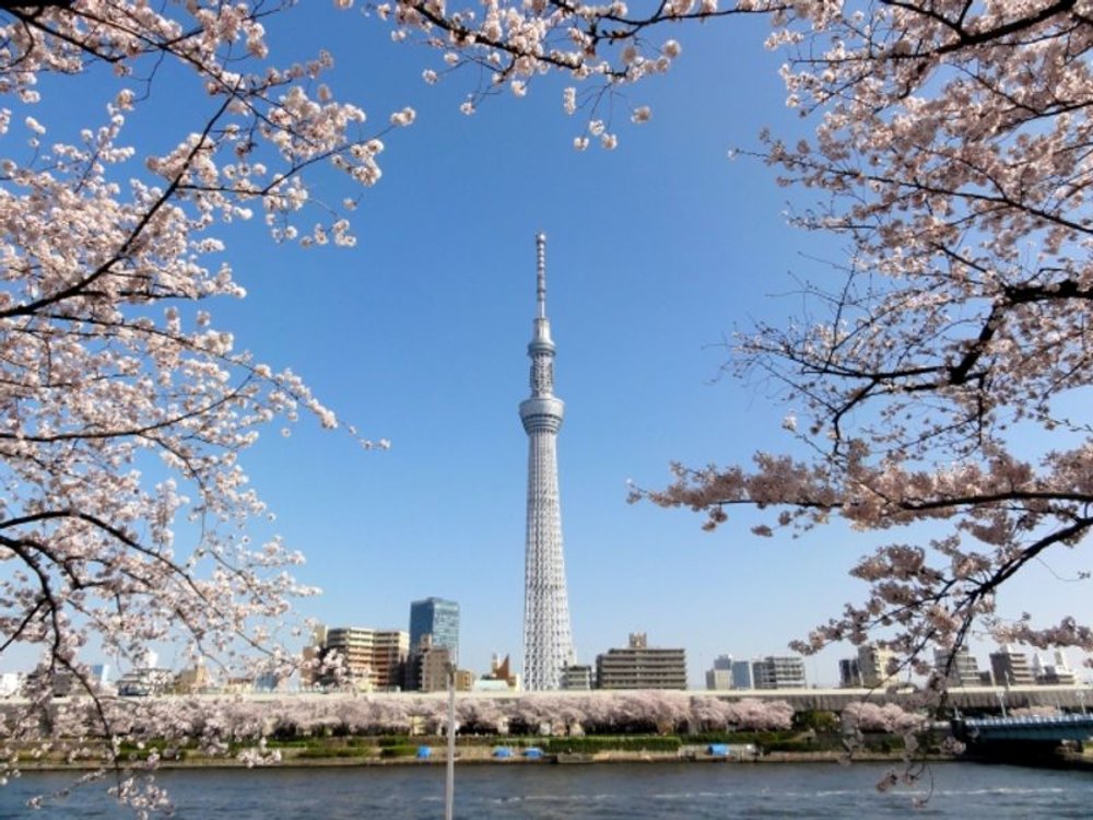 東京景點：晴空塔
