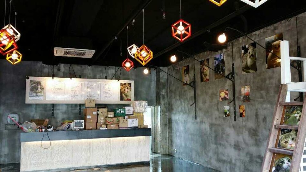 Cafe interior with a minimalist theme