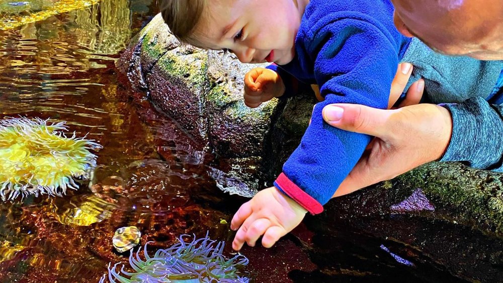 Teach the little ones about the amazing world under the bay! Image credits: @lina___xo on Instagram
