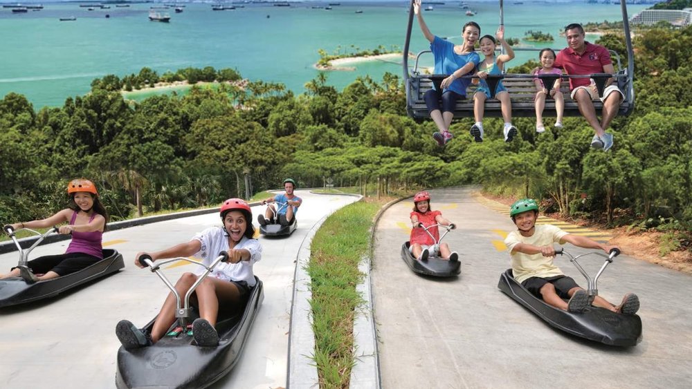 Ride the skyride to the top of the track before racing down by luging!