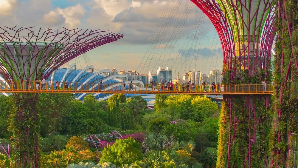 Walk through the skywalk of the Super Tree Grove for fantastic views of the gardens and the city! Credits: Coleen Rivas from Unsplash