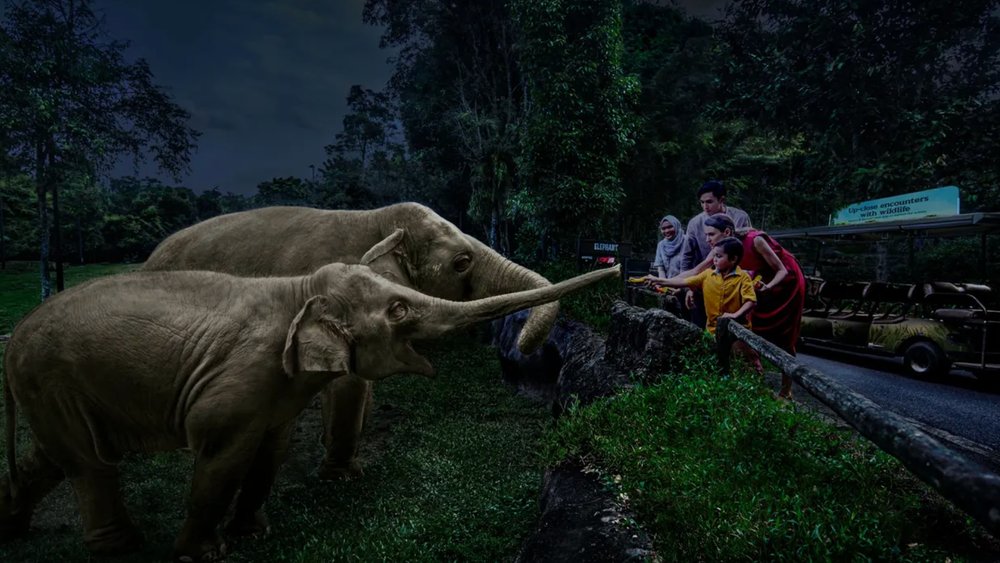 Come face to face with these gentle giants!