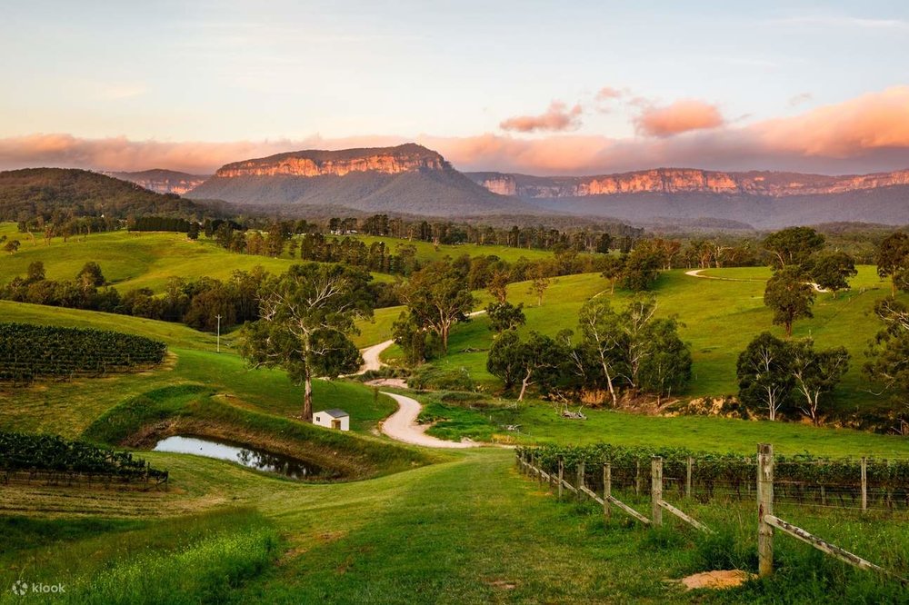 megalong valley winery 