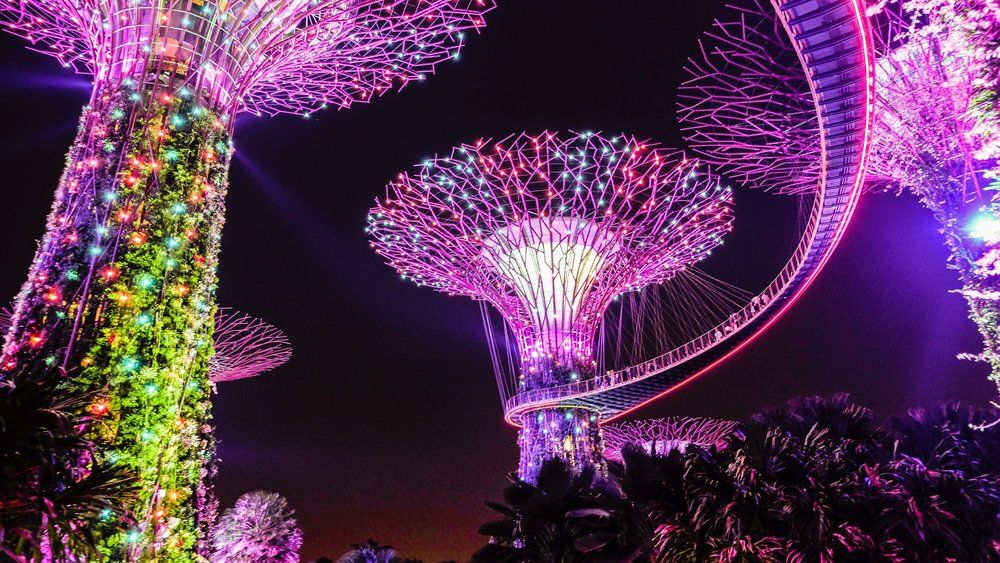 Light up your night with a visit to Gardens By the Bay! Image credits: Timo Wagner on Unsplash