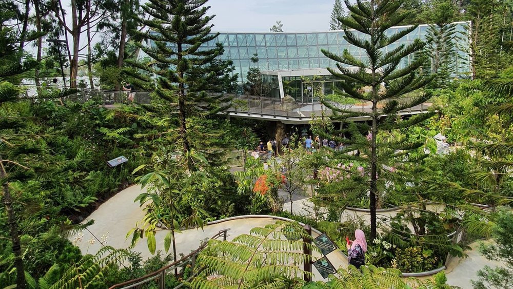 You’ll find this attraction in the National Orchid Garden.  Credits: @singaporebotanicgardens on Instagram