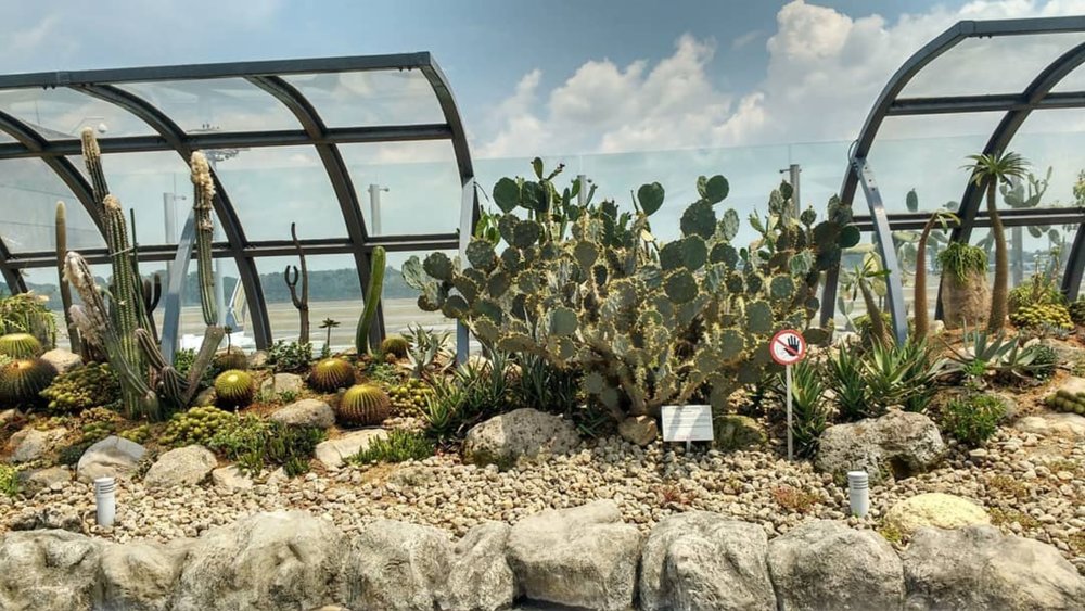 Head to the rooftop to relax alongside the plants. Credit: sq4eva