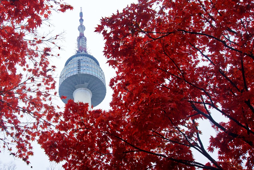 หอคอยเอ็นโซล (N Seoul Tower) 