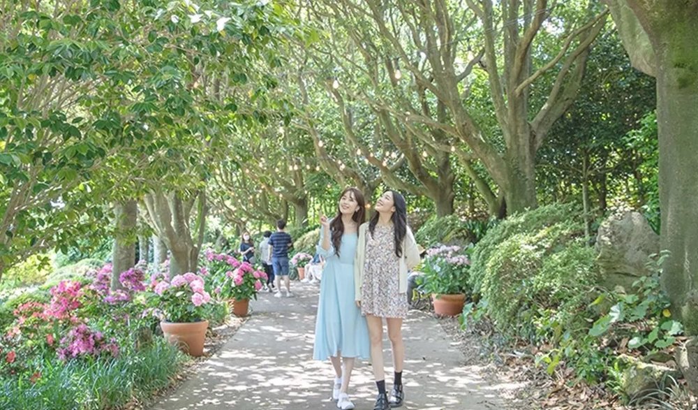 สวนคาเมเลีย (Camellia Hill)