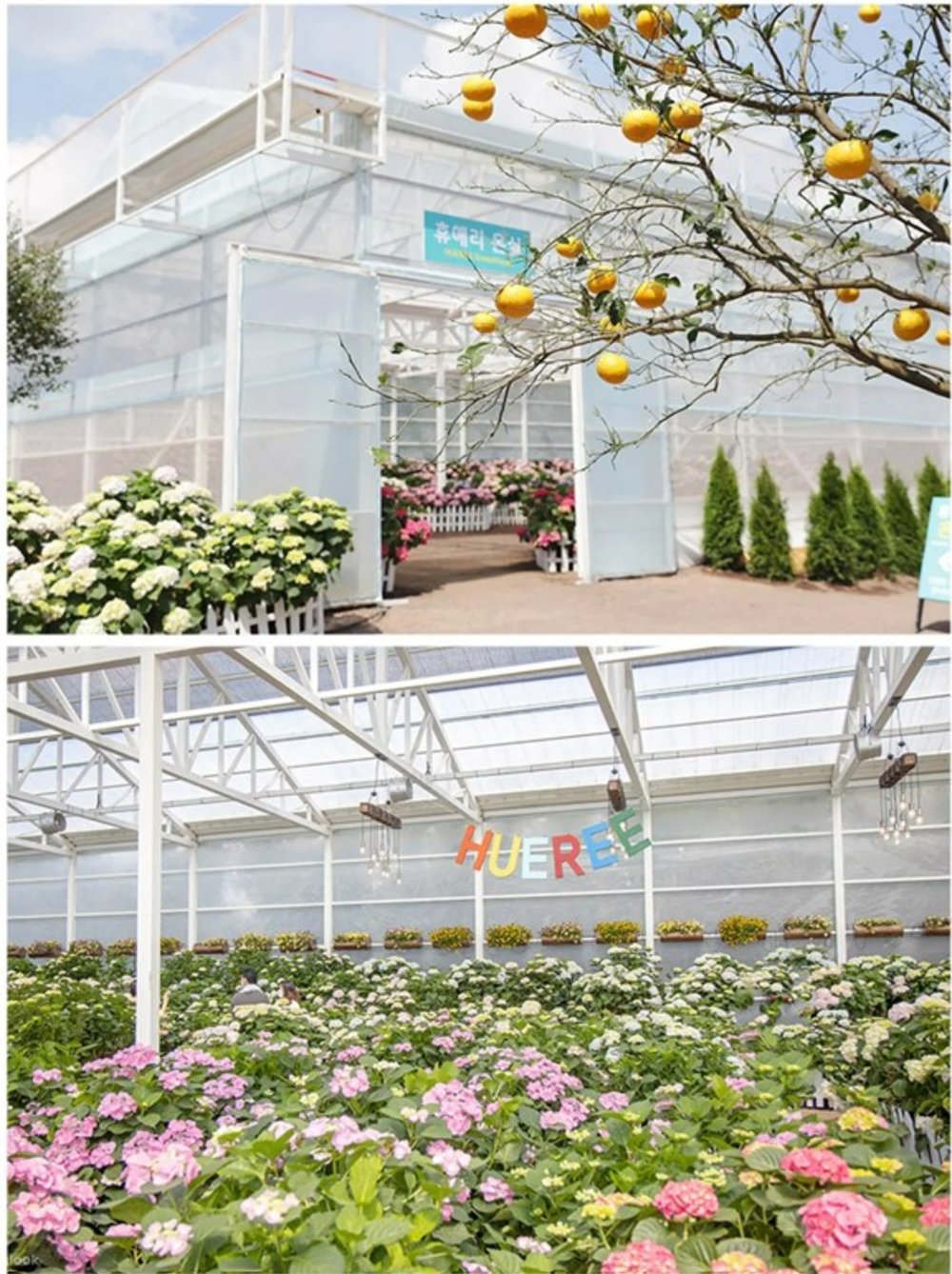 อุทยานแห่งชาติฮูรี (Hueree Park)