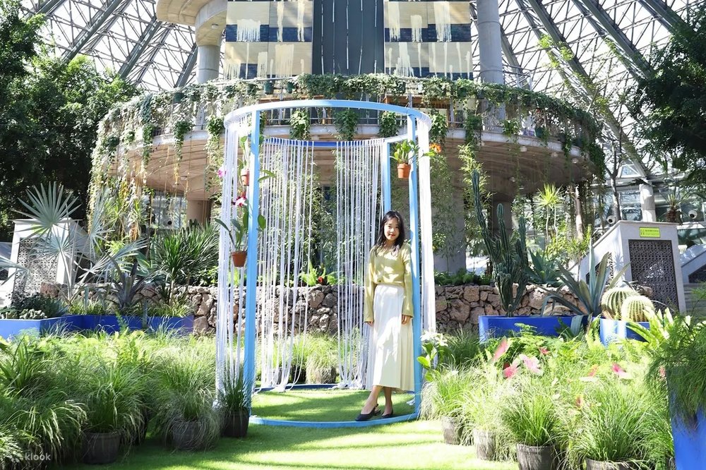 สวนพฤกษศาสตร์ยอมิจิ (Yeomiji Botanical Garden)