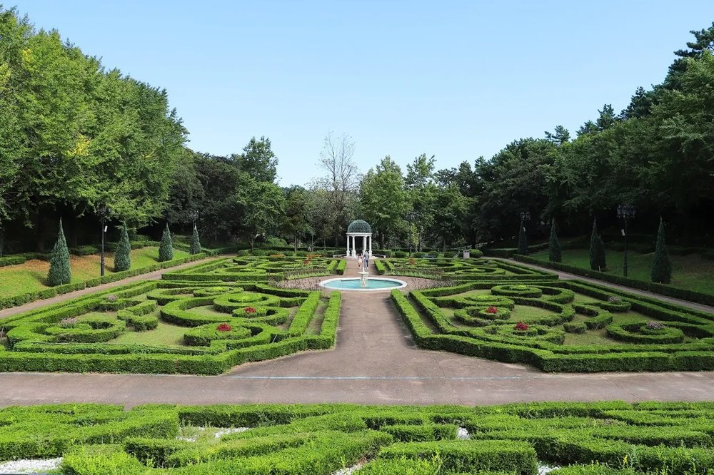 สวนพฤกษศาสตร์ยอมิจิ (Yeomiji Botanical Garden)