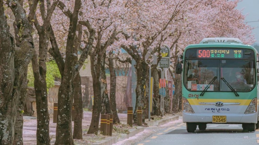 Make sure you tap your card before and after you get off the bus. Credit: ojhoony