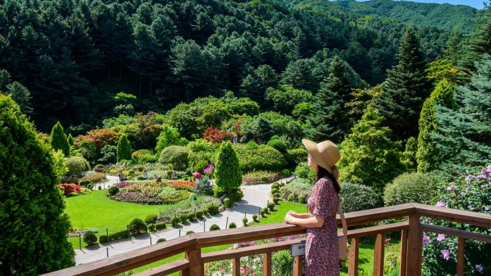 Visit the Garden of the Morning Calm and see Nami Island, Petite France, and more in one day with Klook.