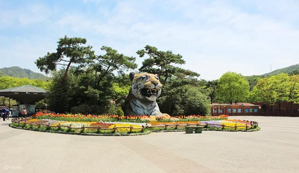 Seoul zoo สวนสัตว์ที่ใหญ่ที่สุดในประเทศเกาหลี