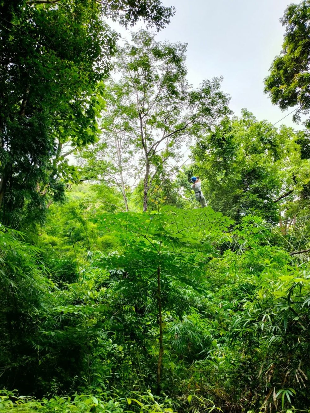 ทรี ท็อป แอดเวนเจอร์ พาร์ค (Tree Top Adventures Park) ที่ จังหวัดกาญจนบุรี 