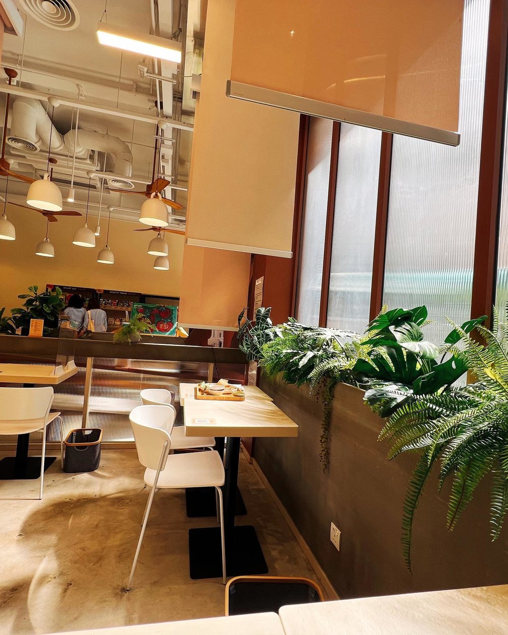 這裏環境闊落,而且設有掛簾可以間隔出單人座位,讓大家可以靜心享受吃飯時光。 (Instagram @veggieself.kale)
