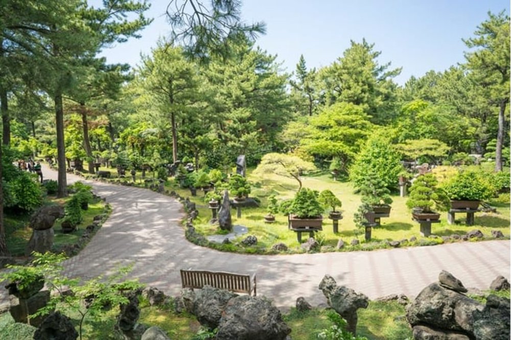 Grounds of Camellia Hill