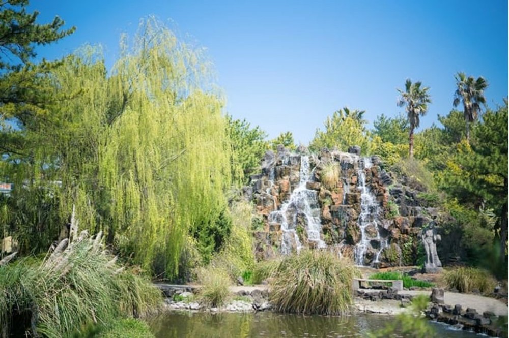 Falls inside Camellia Hill