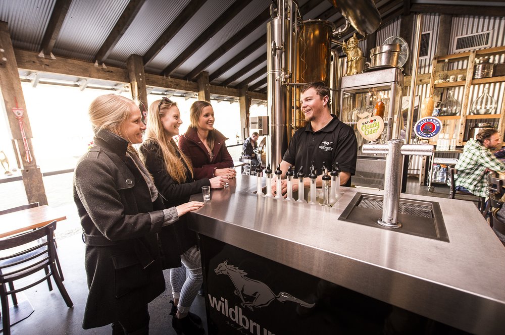 things to do around the snowy mountains Wildbrumby