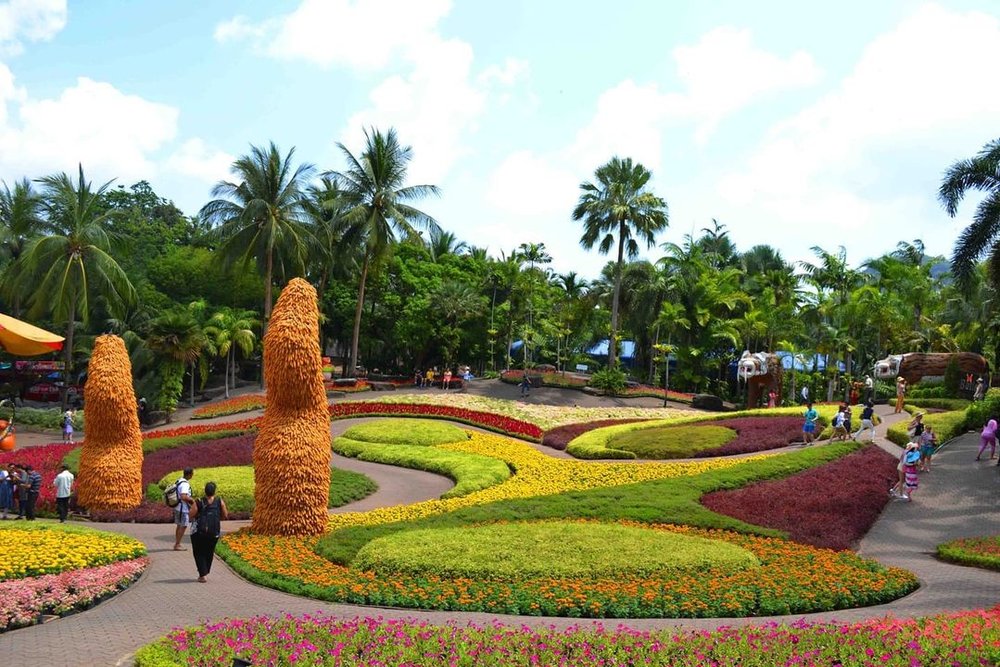 butterfly hill in nong nooch tropical garden pattaya