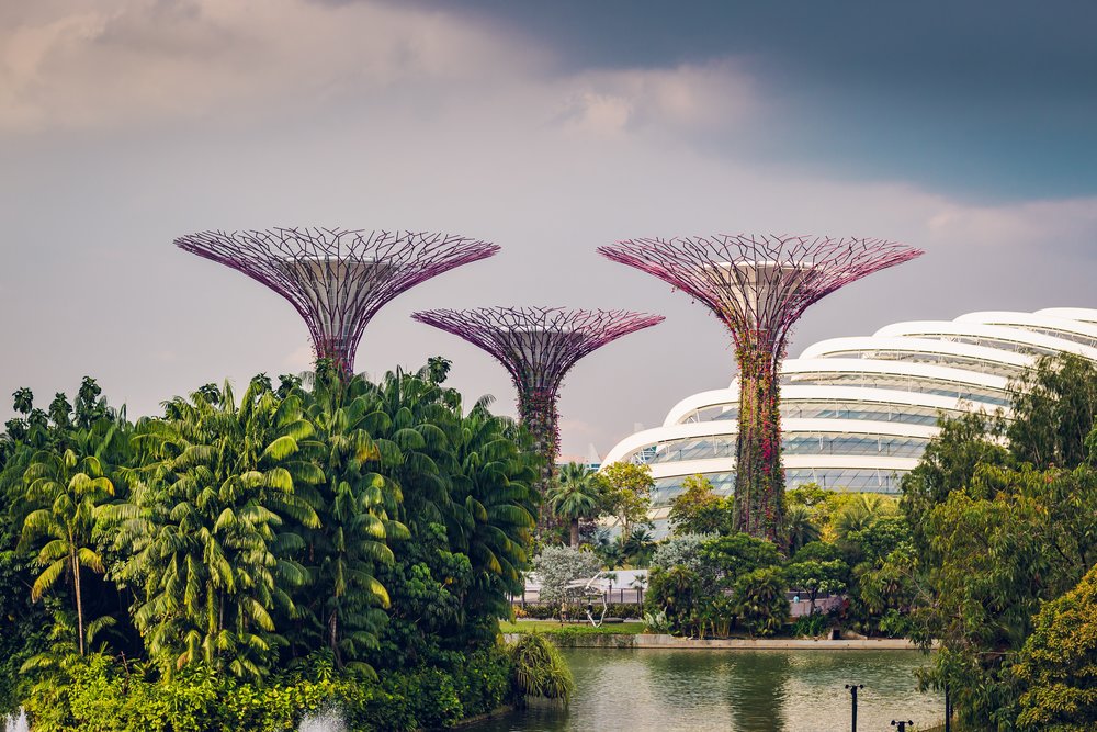 การ์เดนส์ บาย เดอะ เบย์ (Gardens by the Bay) 