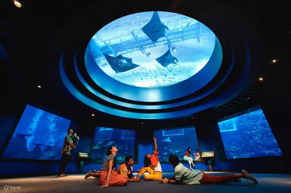 พิพิธภัณฑ์สัตว์น้ำ ซี อควาเรียม (S.E.A. Aquarium) ในเซ็นโตซ่า