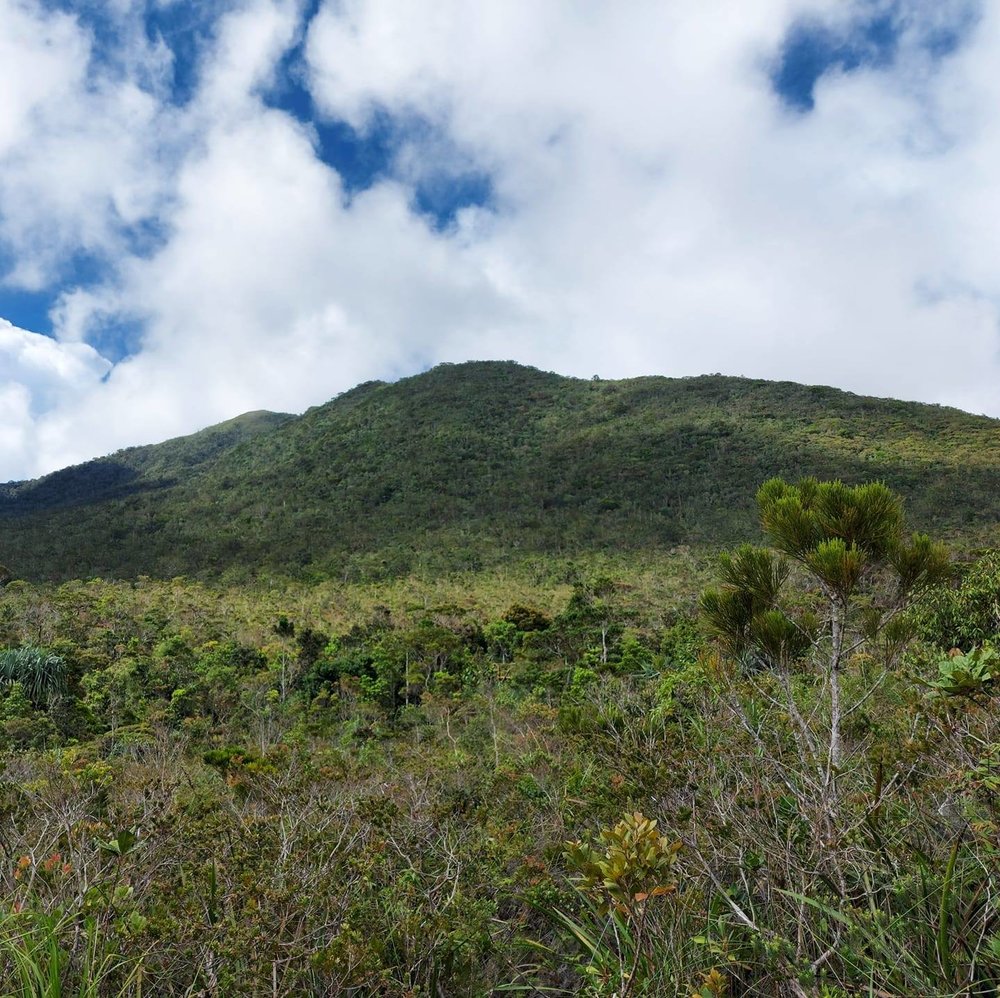 Hamiguitan Range Wildlife Sanctuary during daytime