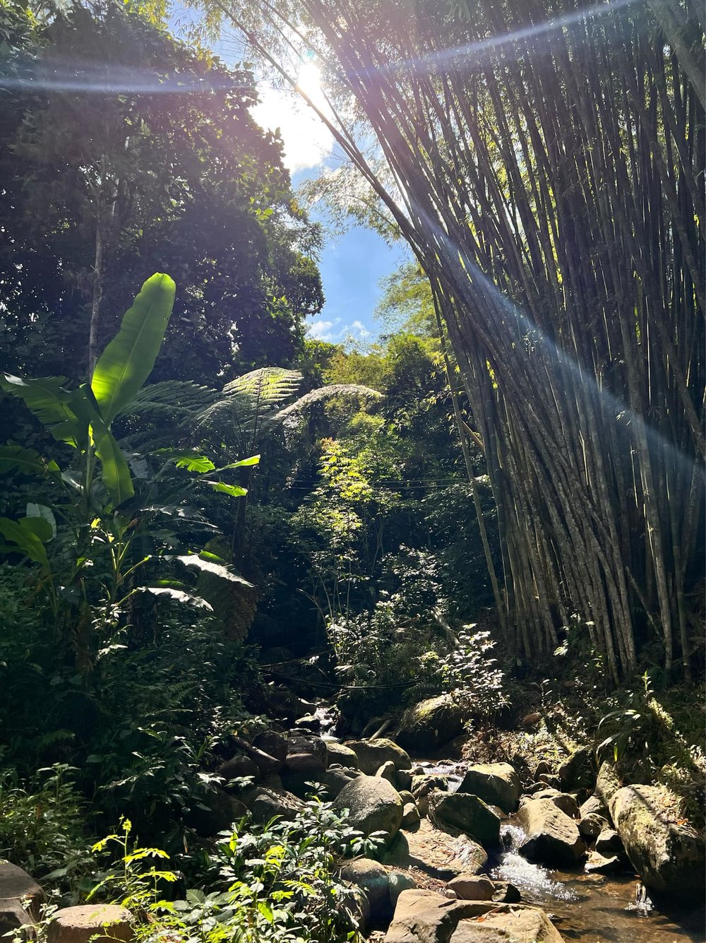 Mini river in Eden Nature Park & Resort