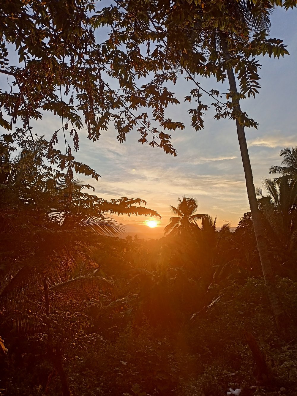 Sunset in Green Mountain View