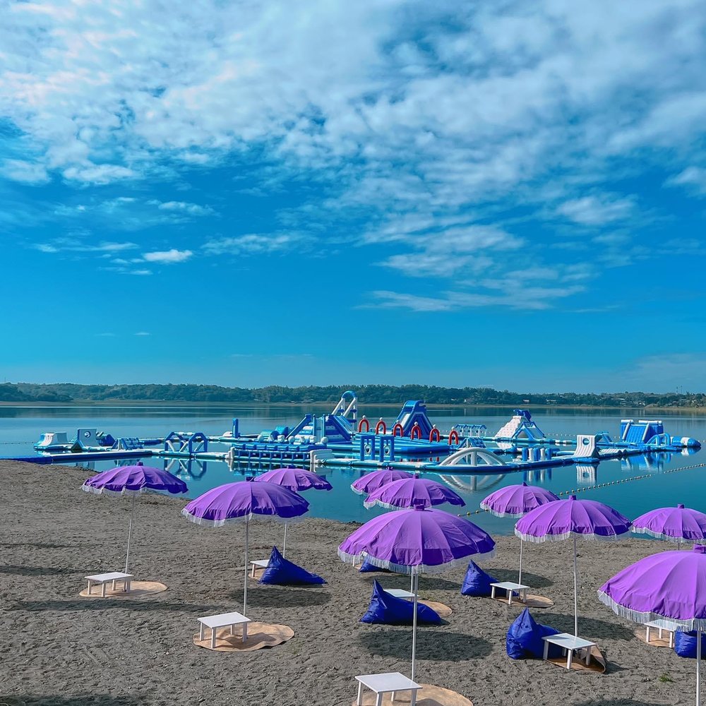 Violet beach umbrellas