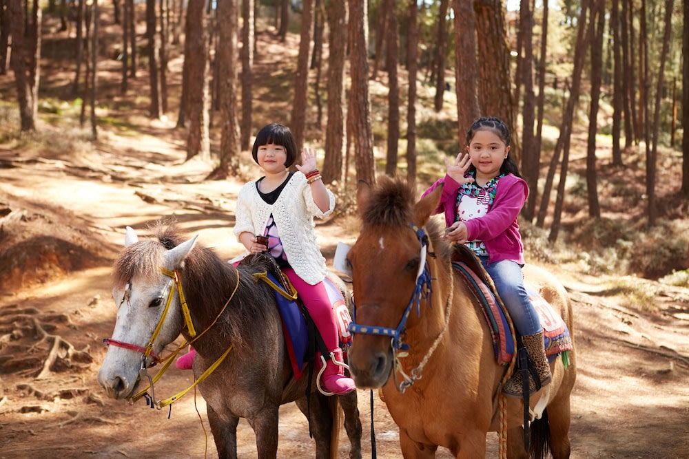 Kids riding a horse