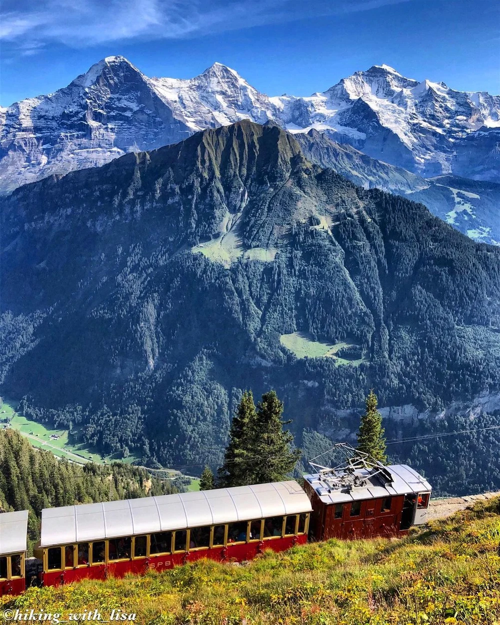 Schynige Platte best scenic train ride in Switzerland