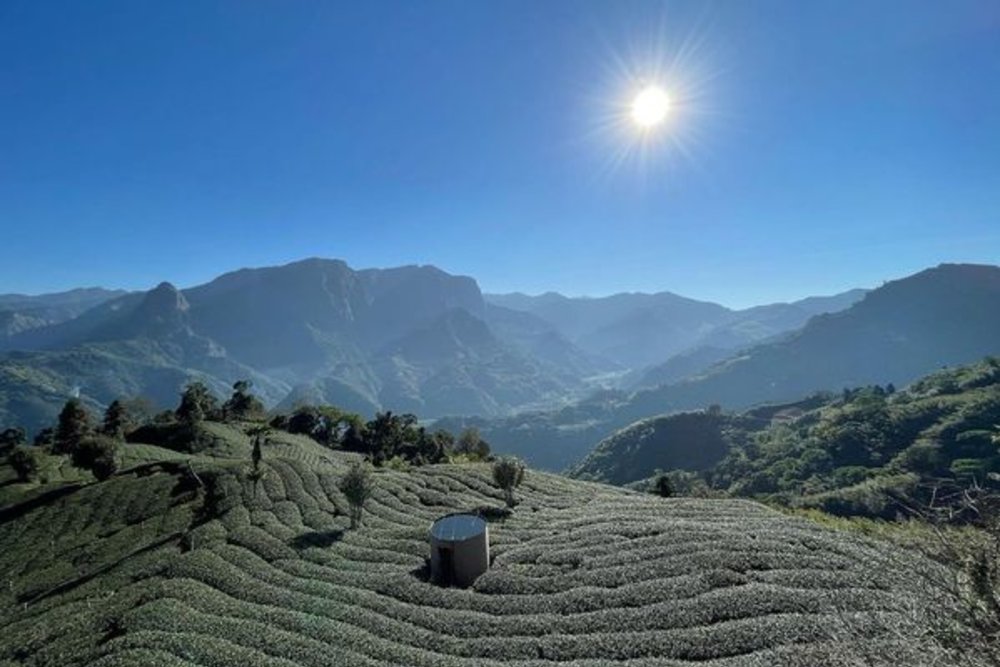 阿里山住宿:山雲花觀景民宿