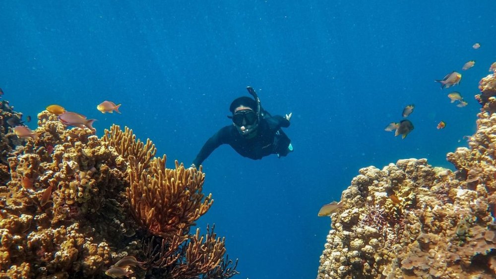 Bring your waterproof cameras to get great photos underwater. Credit: bimajinasi