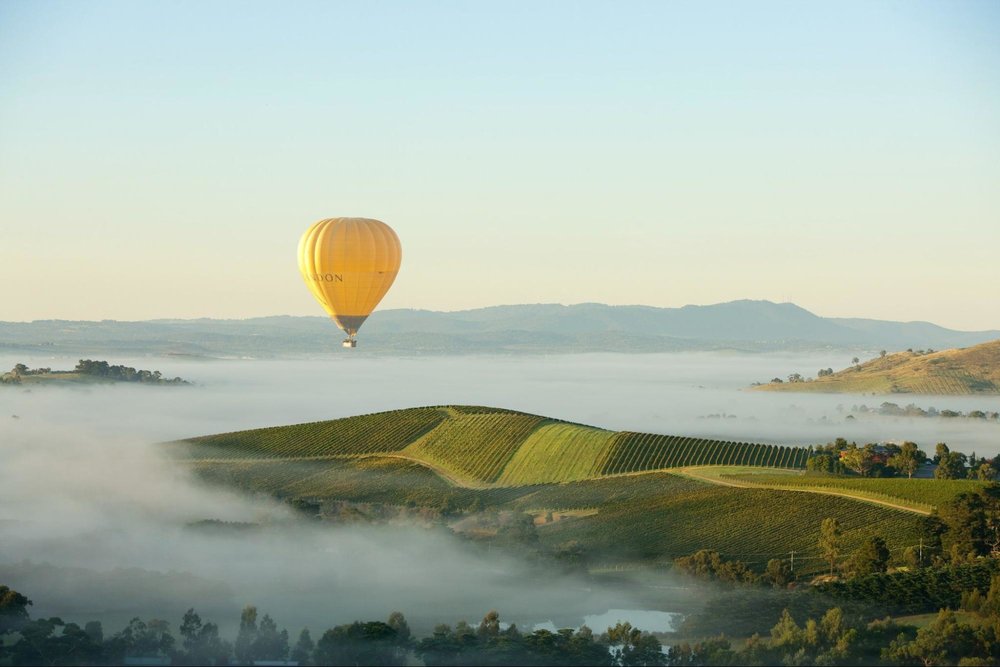 Yarra Valley Hot Air Balloon