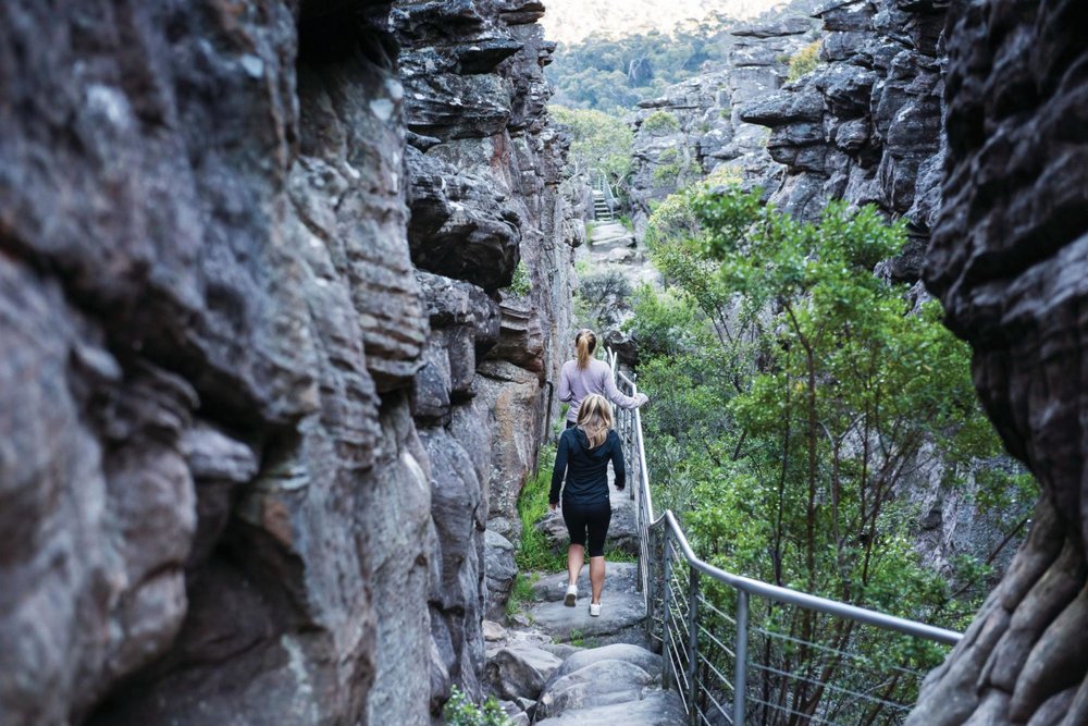 12 Best Day Trips from Melbourne Within 3 Hours Breathtaking Hikes, Hot Springs & More Klook
