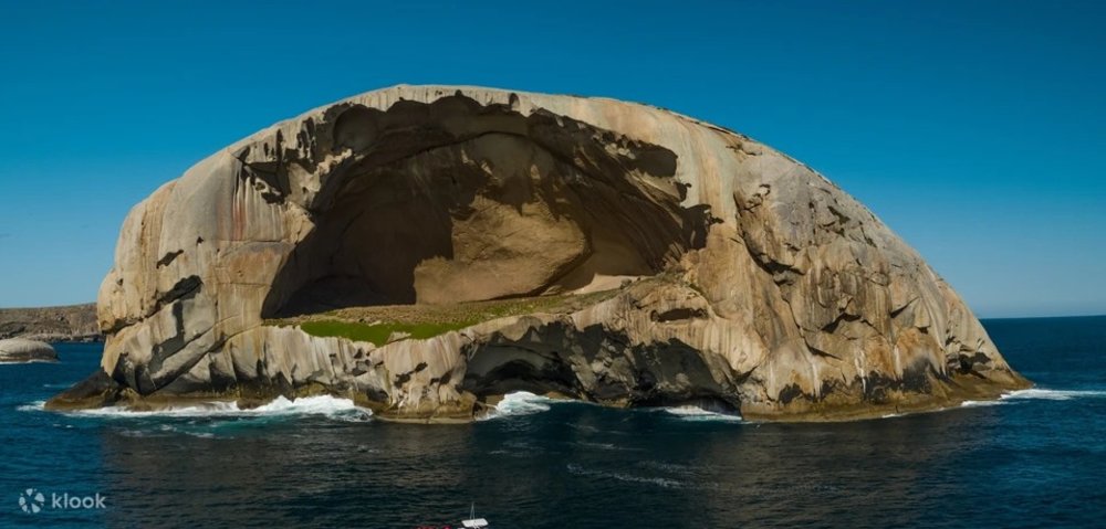  Wilsons Promontory Wildlife Cruise
