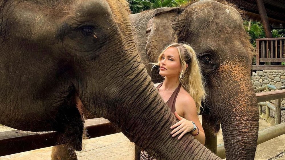 Meet the star of the zoo: the Sumatran elephant!  Image credits: @y_risss on Instagram