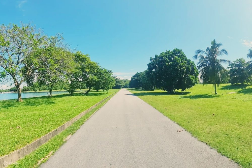 dao-phia-nam-singapore