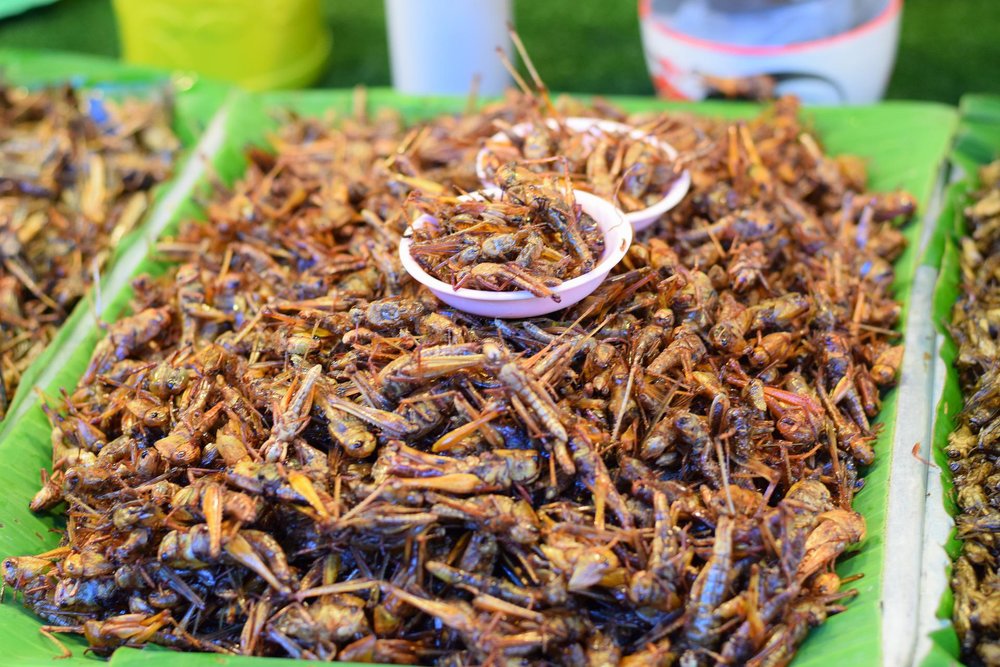 Brave An Extraordinary Food Experience With These 8 Crazy Thailand Eats ...