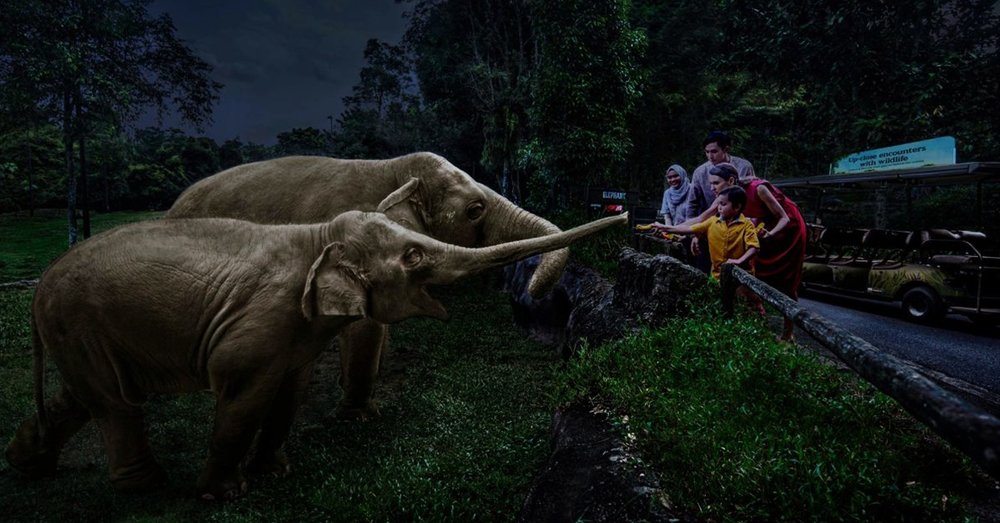 Singapore Night Safari