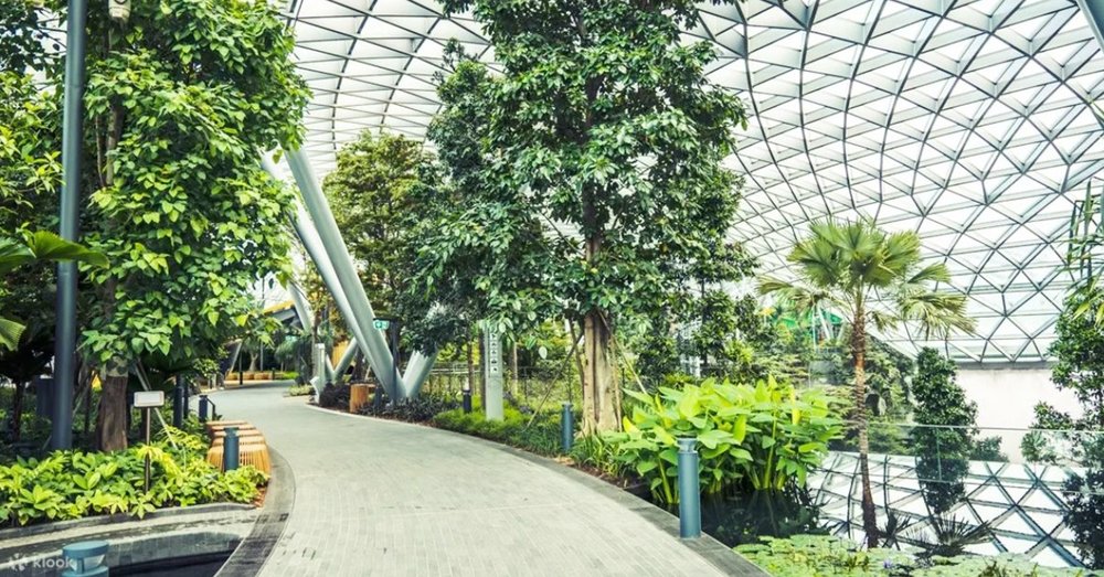 Vườn Nhiệt Đới Shiseido Forest Valley