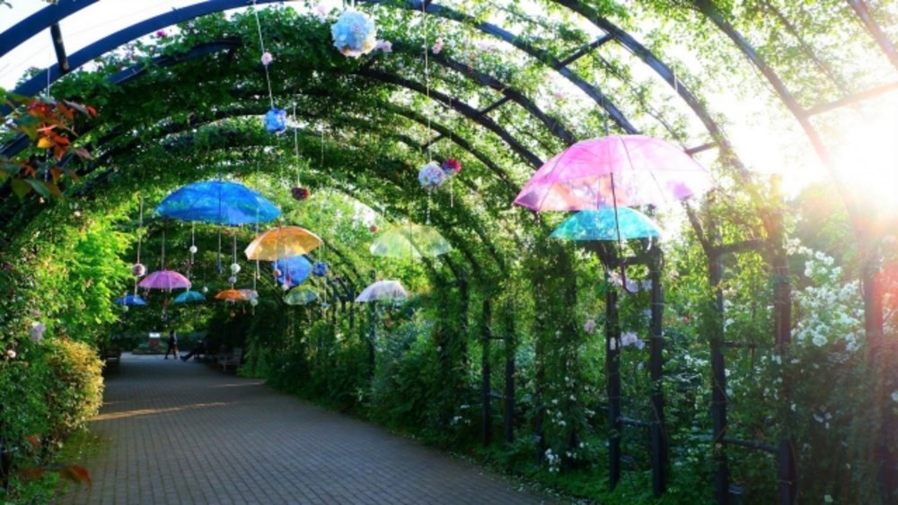 横浜イングリッシュガーデン アンブレラスカイ