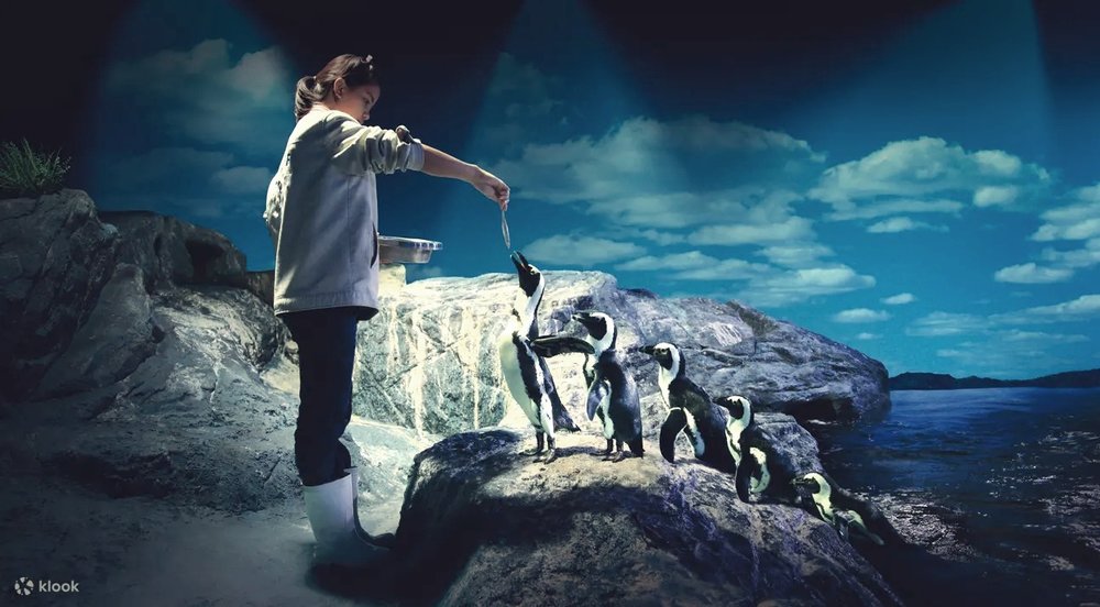 Chiêm Ngưỡng Cá Mập Tại Thủy Cung SEA LIFE Bangkok Ocean World