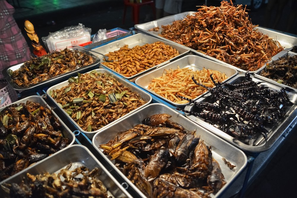 Brave An Extraordinary Food Experience With These 8 Crazy Thailand Eats ...