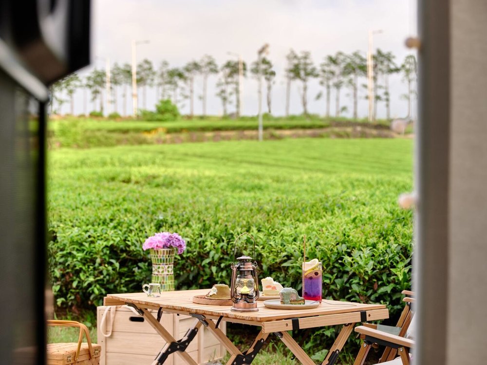 jeju airbnb green tea farm innisfree