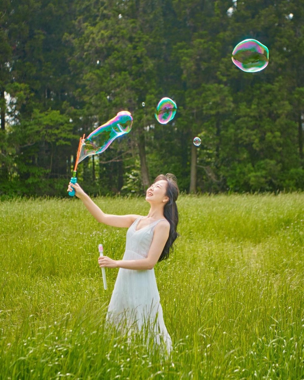 Andol Areum's Secret Forest jeju island korea