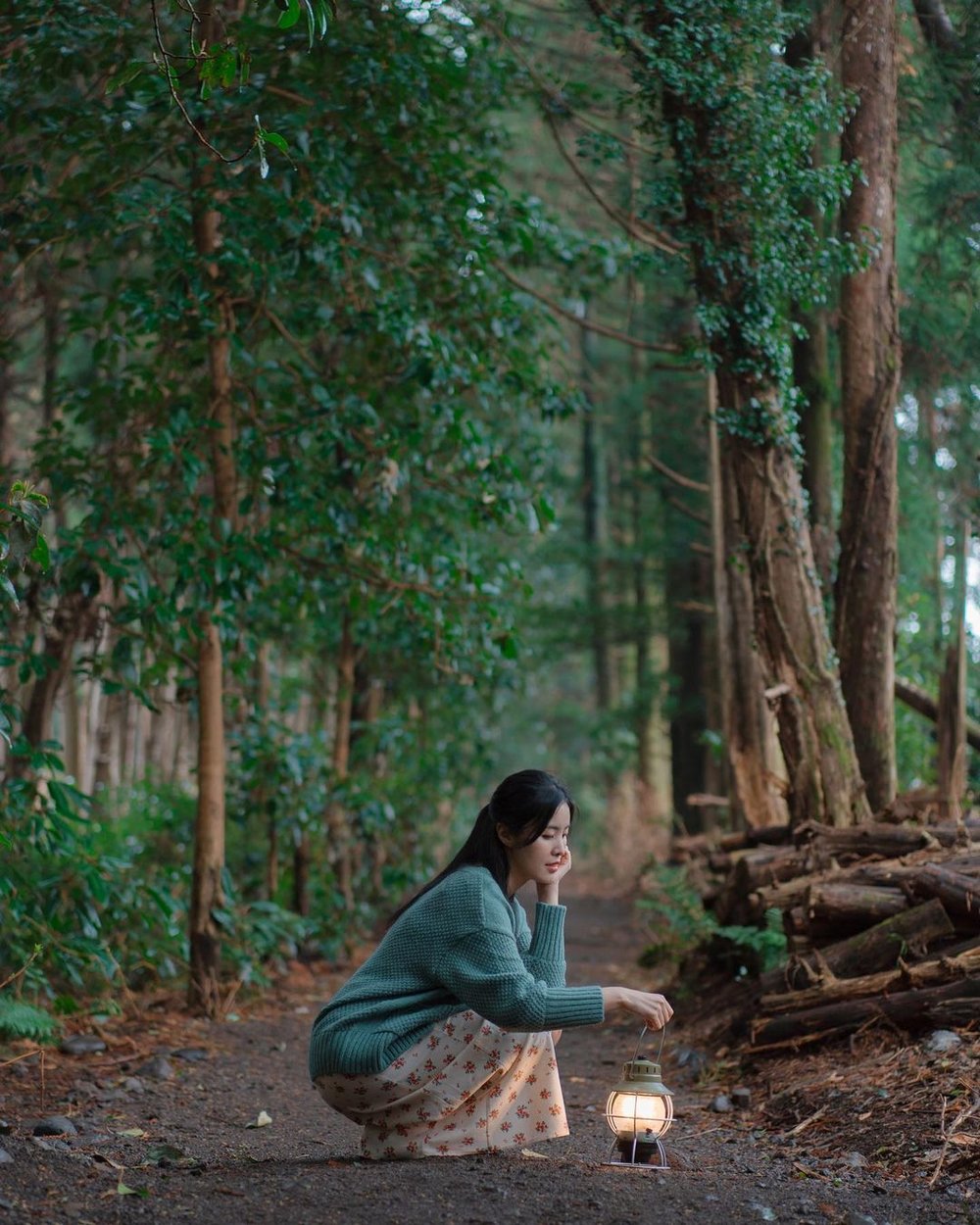 Andol Areum's Secret Forest jeju island korea