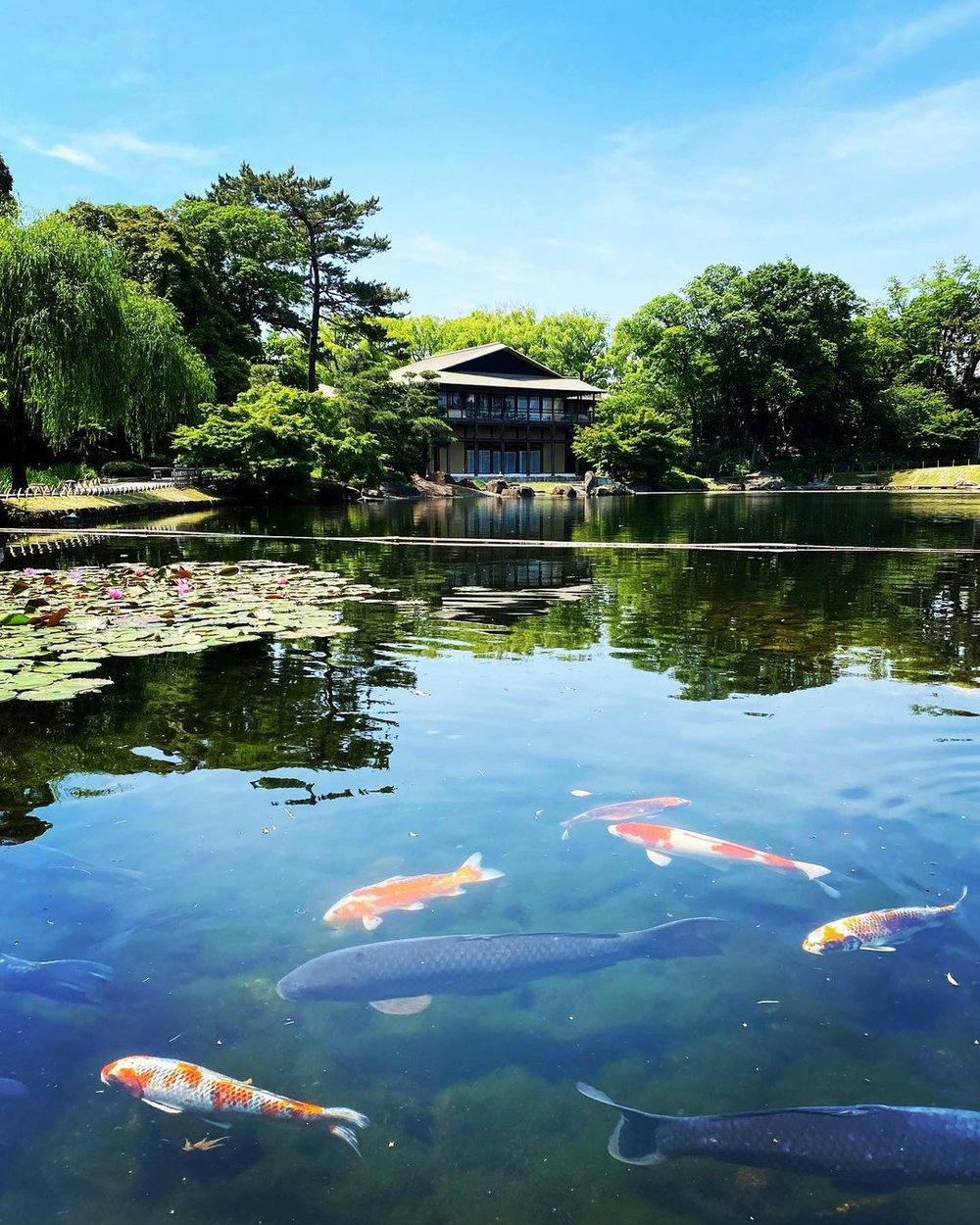 徳川美術館 日本庭園